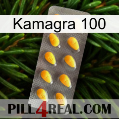 Kamagra 100 cialis1